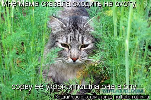 ЯП 1 000 000