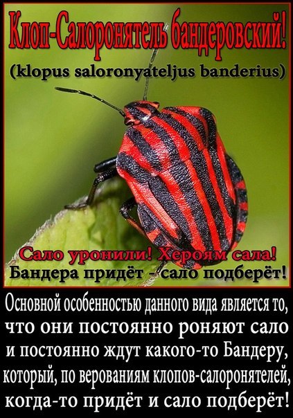 Украинские приколы.