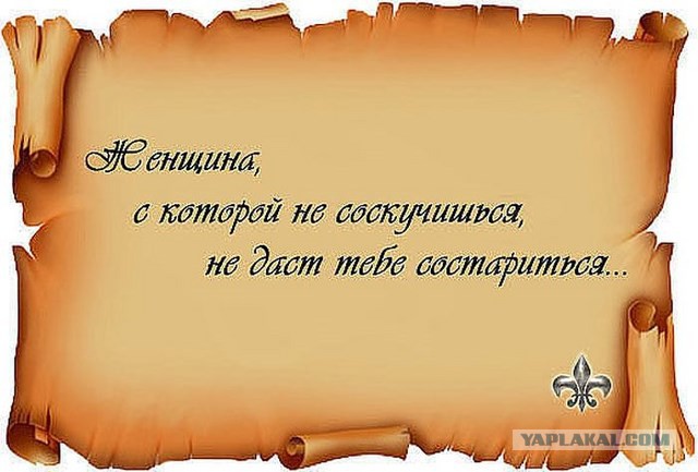 20 фактов обо всем