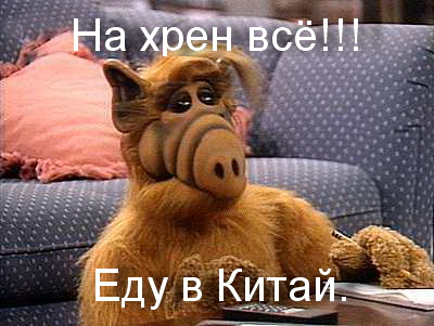 Интересные факты.