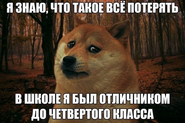 Картинки 12.05.2015