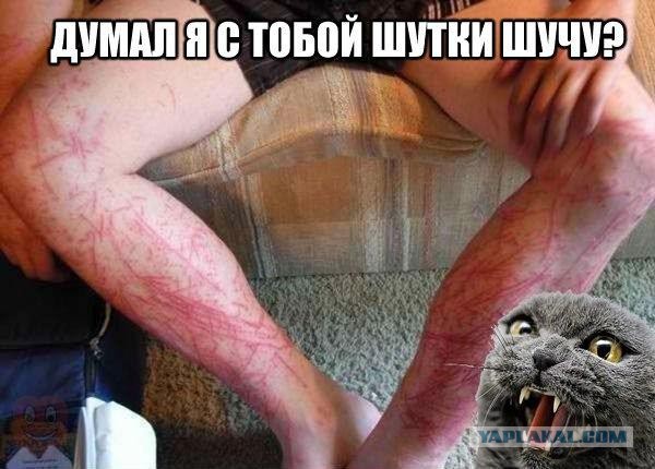 Неприятности случаются 4-ая часть