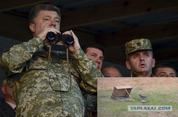 Виталий Подвицкий