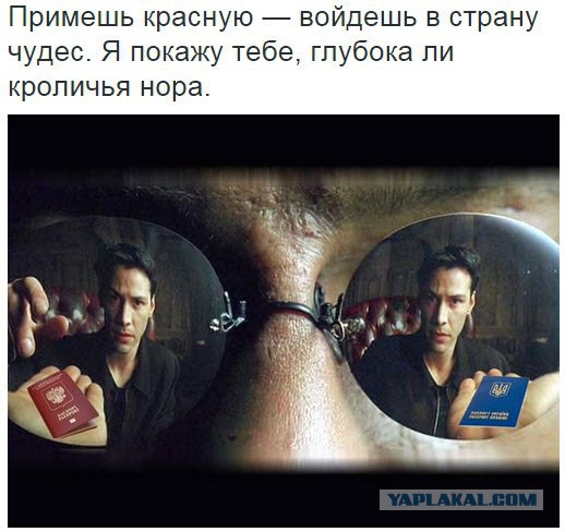 10 Политических картинок