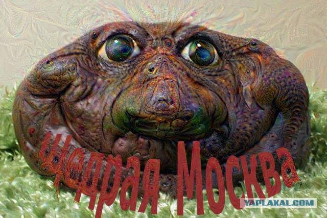 Куда ушли 15 млн. рублей за Бренд новой Москвы?