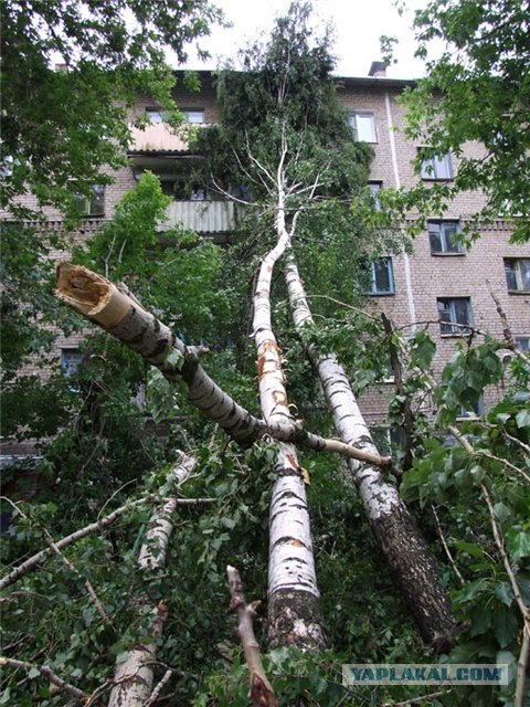 В Ярославле погулял смерч