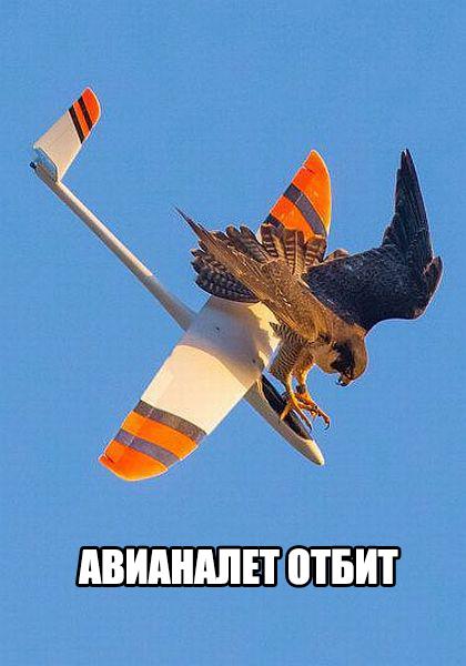 Картинки разные с просторов