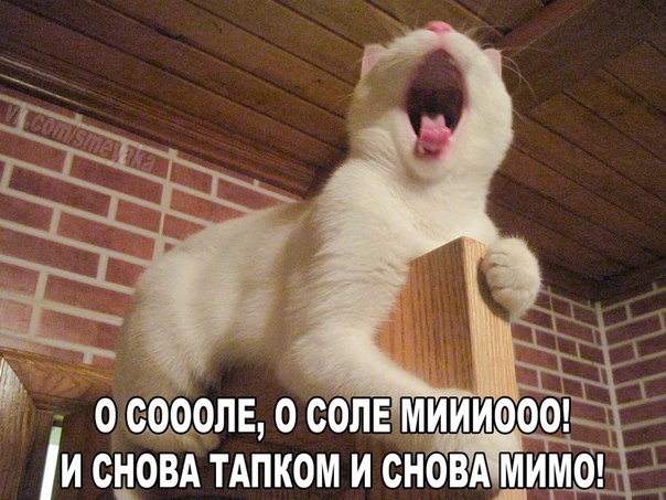 Позитив на воскресенье