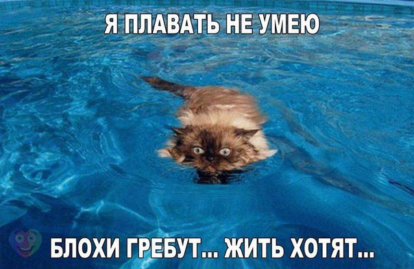 Картинки разные 2