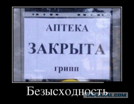 Весёлые картинки