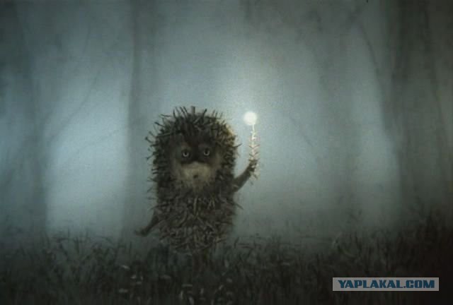 Роскошь и эпатажность цыганского народа