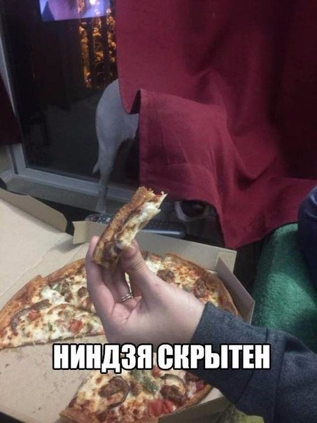 Картинки из сети, бессмысленные и беспощадные