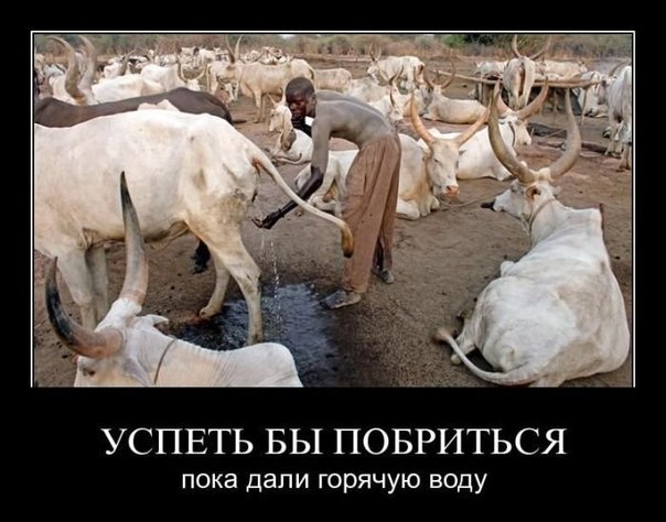 По*сал под душем - сэкономил воду....