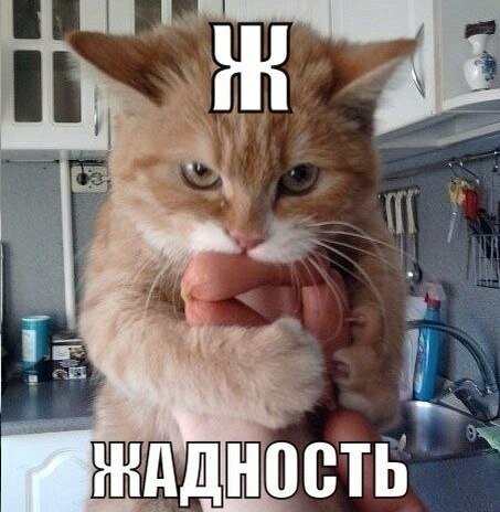 Забавные картинки из сети