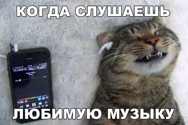 Мохнатые беспредельщики