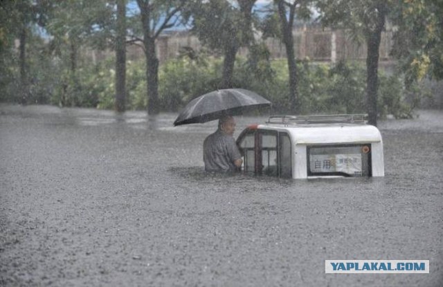 Немного картинок