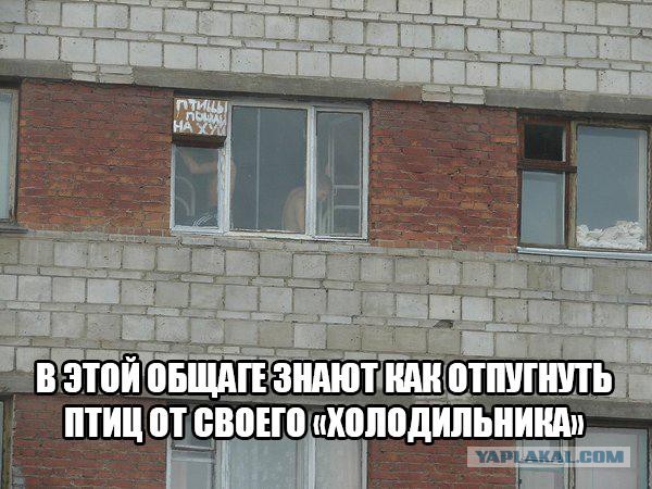 Смешные комментарии из социальных сетей 29.07.2016