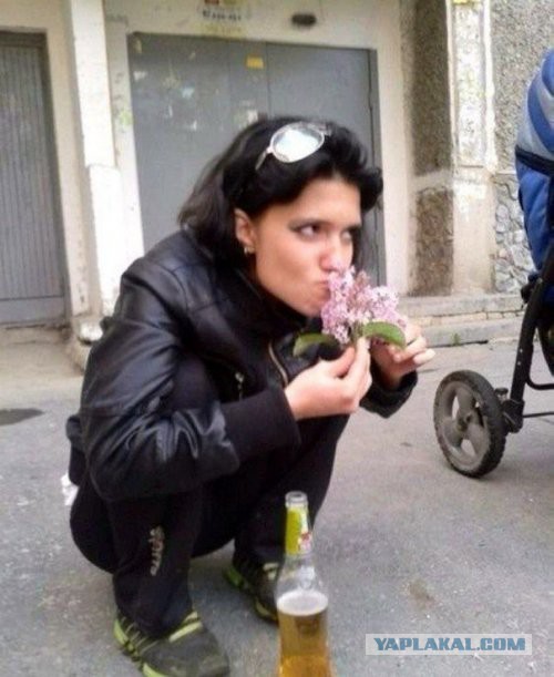 Дамы из соцсетей