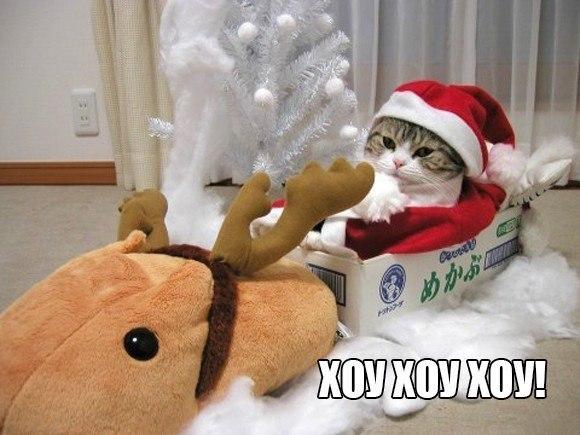 ГЛАГОЛящие коты