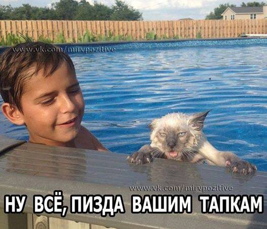 Подборка интересных и веселых картинок