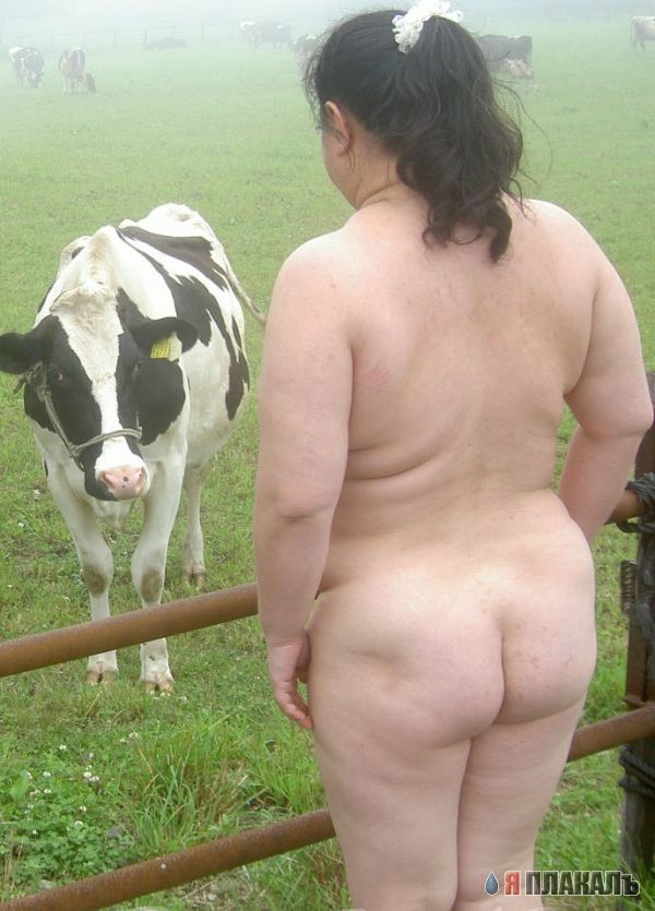 Японский дом любви (13 фото)