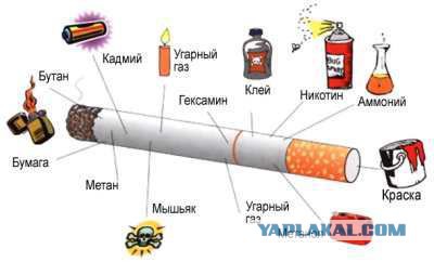 А давайте прекратим табачный геноцид?