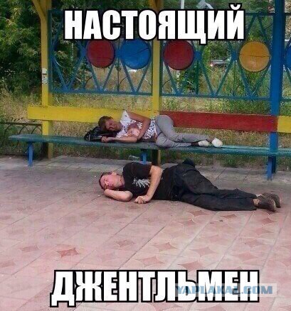 Немного картинок в обед