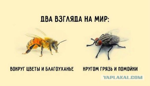 Отвратительный Петербург. Как выглядит "северная столица" без Собянина