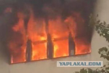 Детский омбудсмен РФ не видит ничего страшного в обрезании девочек. Это ж "вопрос медицинский...Это вопрос к докторам"