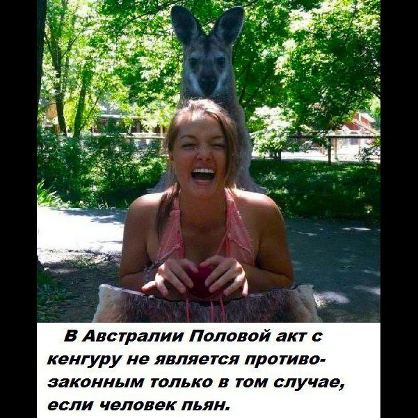 Спорим, вы не знали...