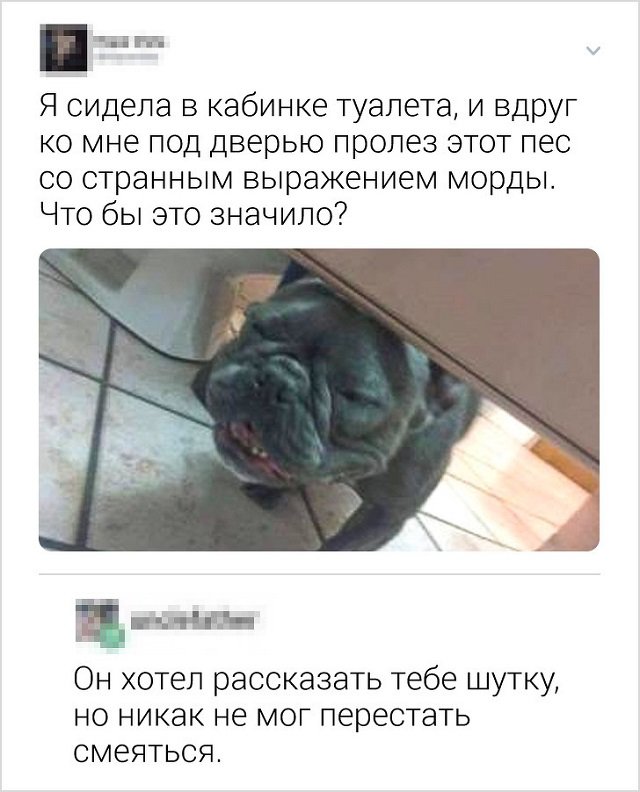 Картинки с надписями, истории и анекдоты 27.08.19