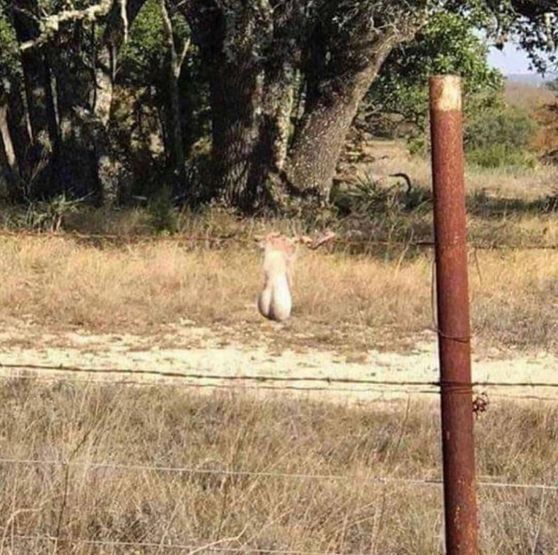 Уголок гражданской обороны и самосознания