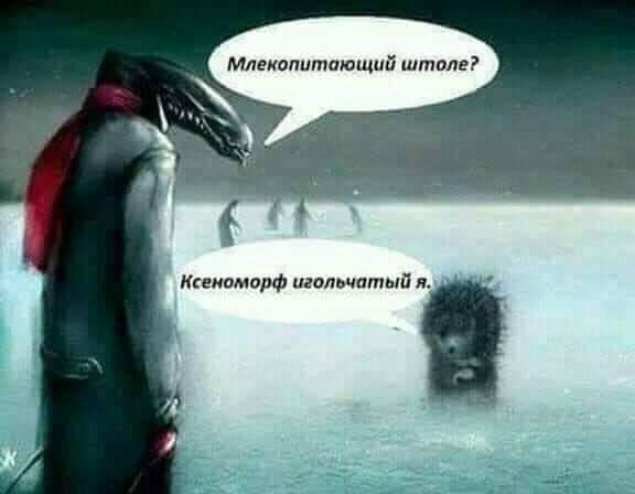 Забавные шутки, картинки и фразы из этих ваших интернетов