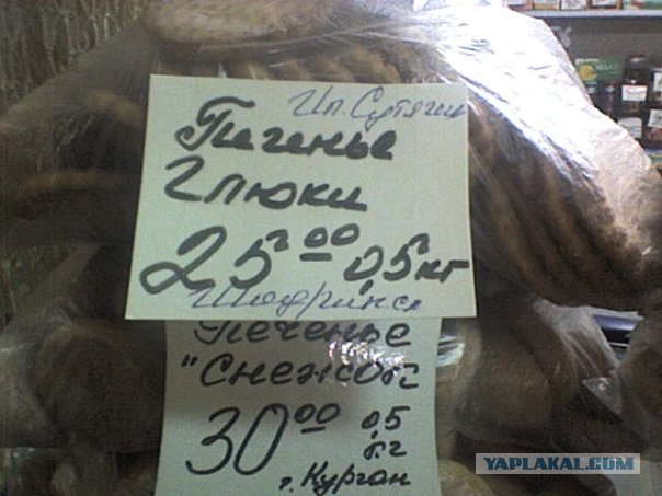 Казусы моего города. Часть первая
