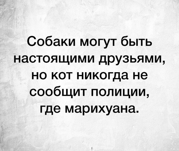 Немного картинок для настроения 25.01.20