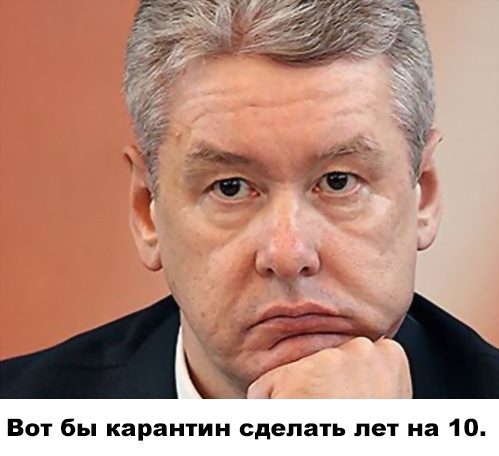 Московская мэрия закупит 10 тысяч смартфонов для проверки цифровых пропусков