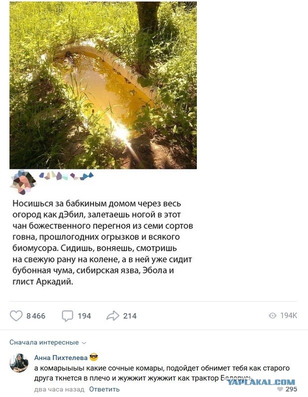 Так себе картинки 14.06.20