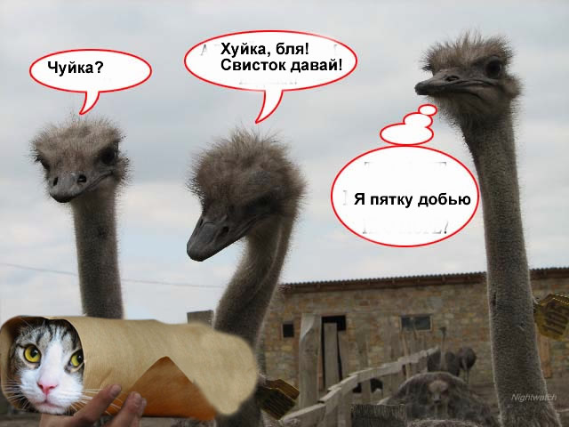 Фотожаба на пятницу