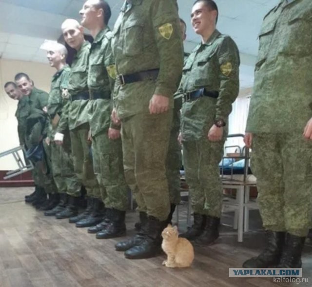 Россия изнутри