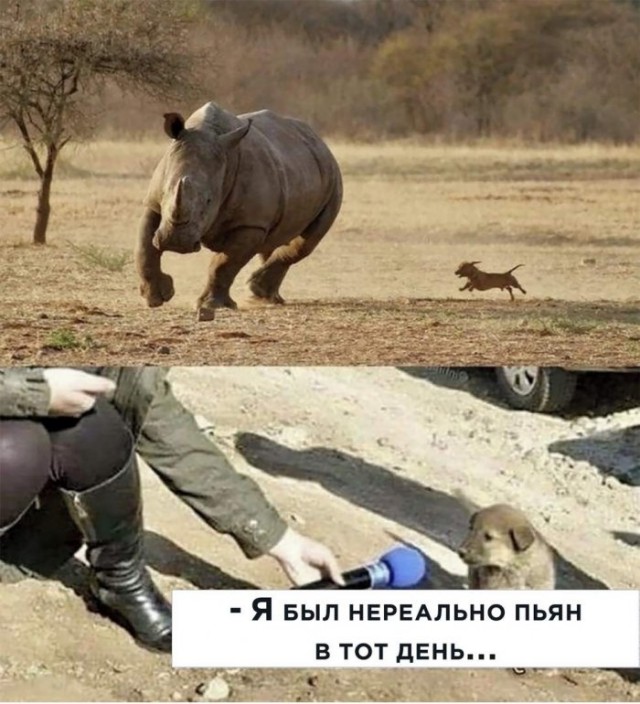 Немного картинок для настроения 21.07.20