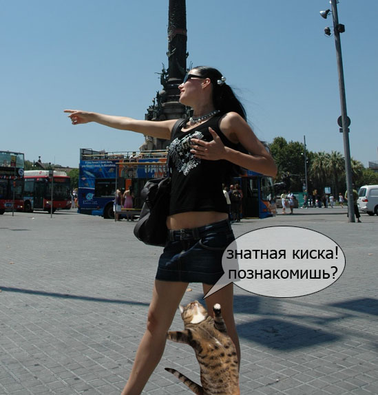 Доброе утро