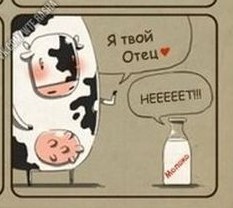 Бредзона 28.09.20