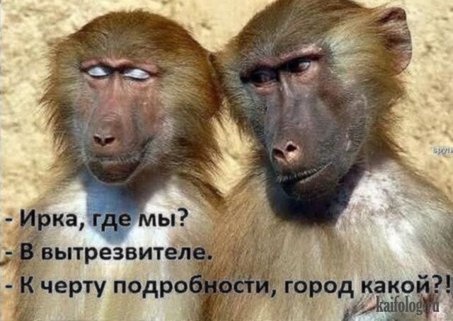 Прикольные и просто красивые картинки 22.12.2020