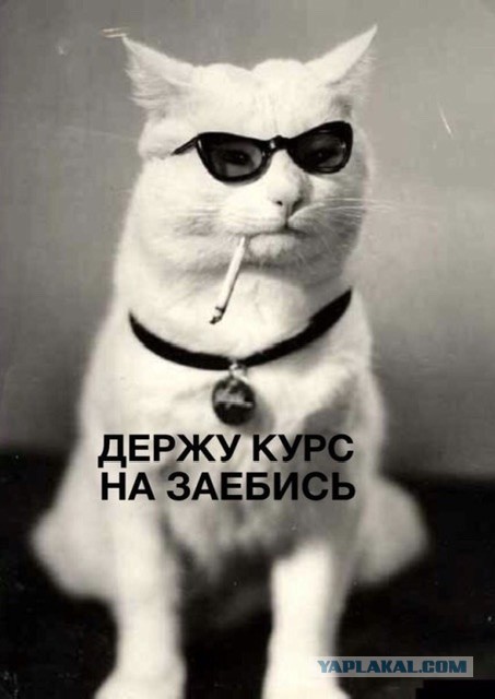 Аривидерчи, любимая! Грустная блондинка в чужом аэропорту