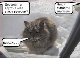 А вы ставили кота на снег?