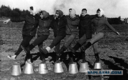 На картошку