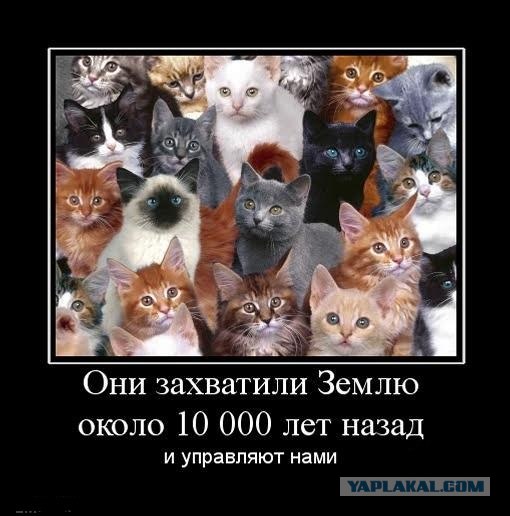 Пассажир прилетел с ГОА!