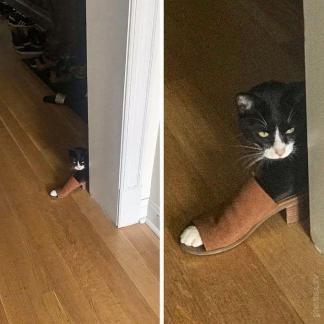 Картинки и мемы для настроения 19.05.2021