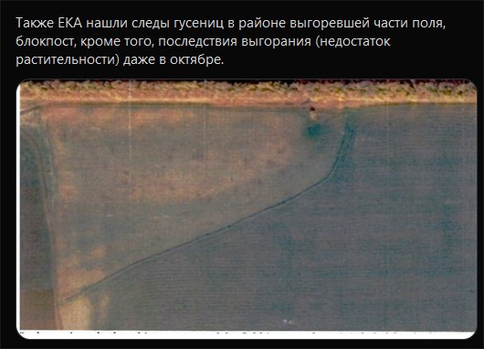 Появились показания свидетелей ракетного пуска перед крушением «Боинга» MH17