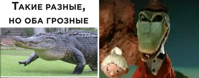 Картинки и мемы для настроения